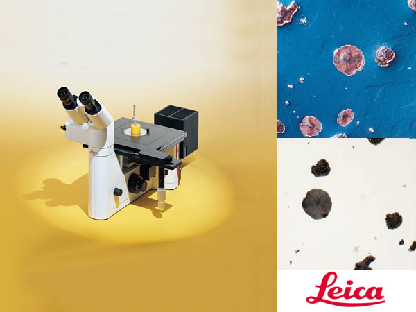 Leica DMILM金相显微镜